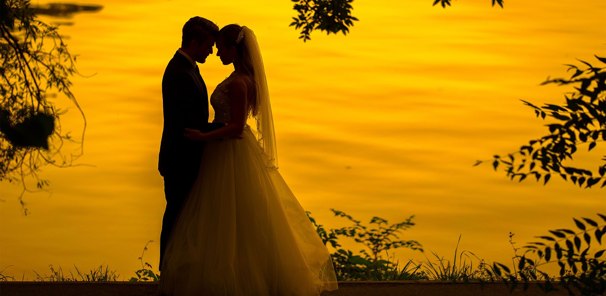 Vrei sa te faci fotograf profesionist pentru nunta? Iata ce trebuie sa stii!