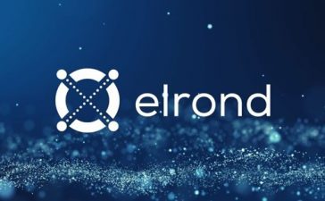 Va prezentam Elrond ($EGLD): Blockchain-ul la scala internetului