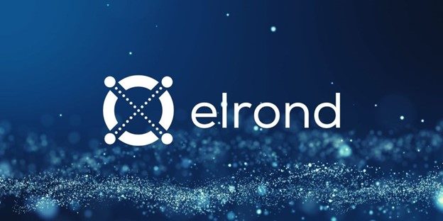 Va prezentam Elrond ($EGLD): Blockchain-ul la scala internetului