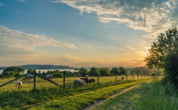 5 lucruri de care ai nevoie într-o gospodărie din mediul rural