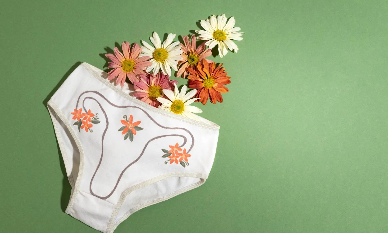 Chiloții Menstruali: O Alternativă Confortabilă și Ecologică pentru Gestionarea Menstruației