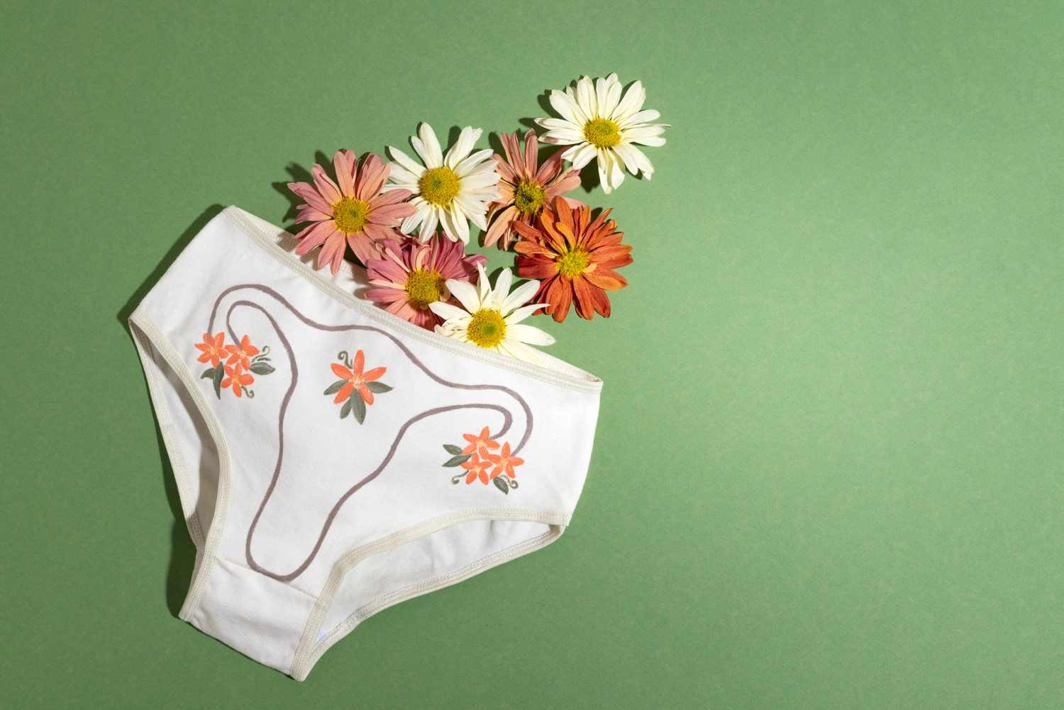 Chiloții Menstruali: O Alternativă Confortabilă și Ecologică pentru Gestionarea Menstruației