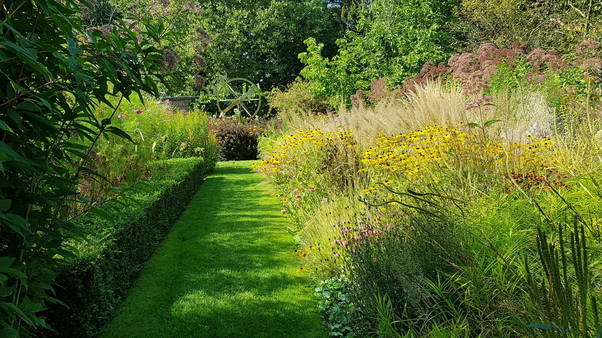 Îți dorești să-ți amenajezi grădina cu plante verzi care rezistă la temperaturi scăzute? Iată câteva opțiuni interesante!