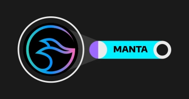 Ce este Manta Network și de ce este considerat un Layer 1 inovator?