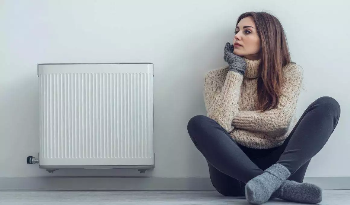 Cum să alegi cea mai bună centrală termică pentru locuința ta?